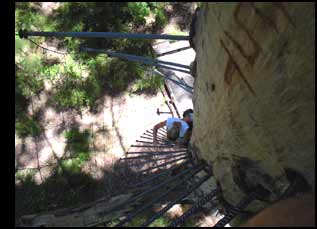 fire-lookout tree ladder